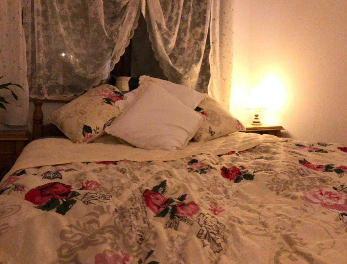 Oświęcim Willa Na Skarpie מראה חיצוני תמונה